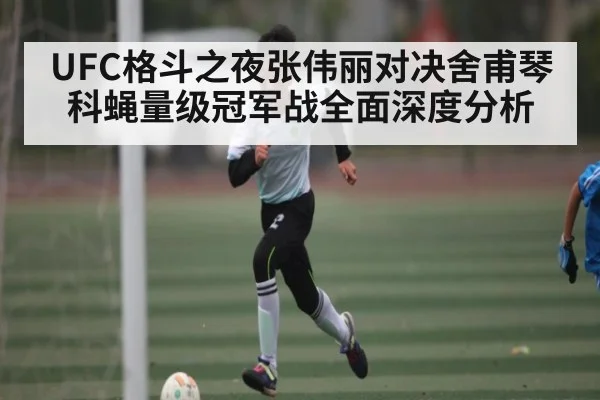 UFC格斗之夜张伟丽对决舍甫琴科蝇量级冠军战全面深度分析