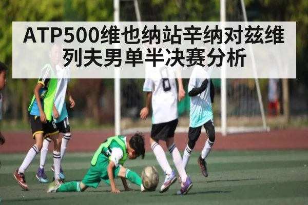 ATP500维也纳站辛纳对兹维列夫男单半决赛分析
